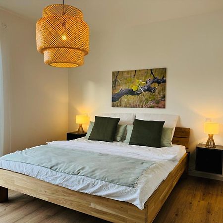 Moderne Ferienwohnung Mit Terrasse, Grill & Privatparkplatz Venningen 외부 사진